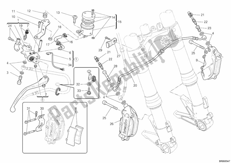 Todas as partes de Sistema De Freio Dianteiro do Ducati Monster 1100 EVO ABS 2013